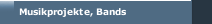 Musikprojekte, Bands
